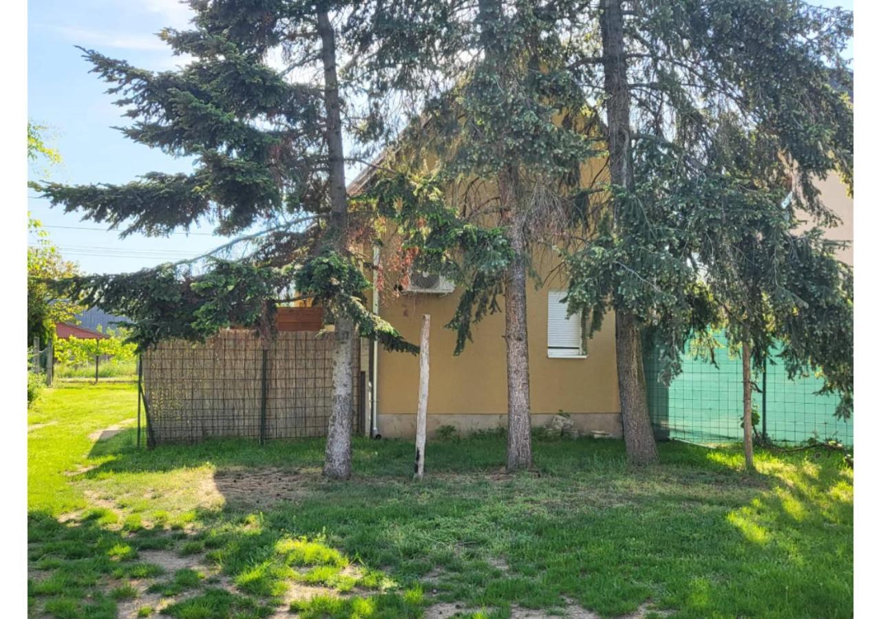 Апартаменты Forras Vendeghaz Тата Экстерьер фото